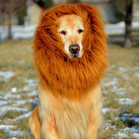 Lion Mane Wig for Large Dogs - FSSA Global Bullet