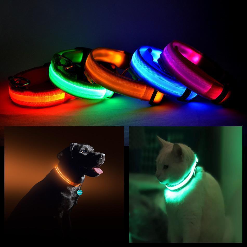 Color: BLUE,Size: LARGE - LED PET Safety Halo Style Collar - FSSA Global Bullet