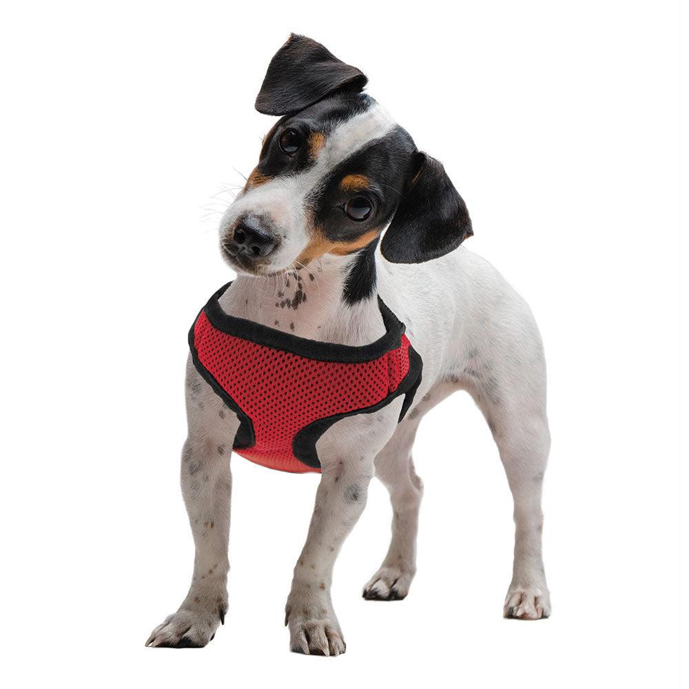 Extra Small Red Soft'n'Safe Dog Harness - FSSA Global Bullet