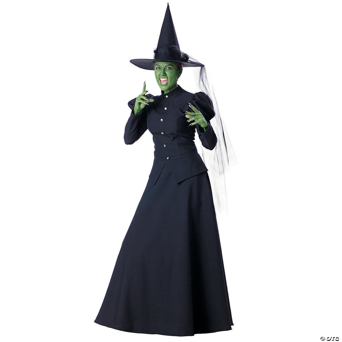 WICKED WITCH ADULT LARGE