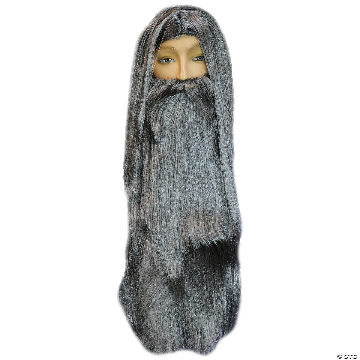 Wizard beard and wig set-gray
