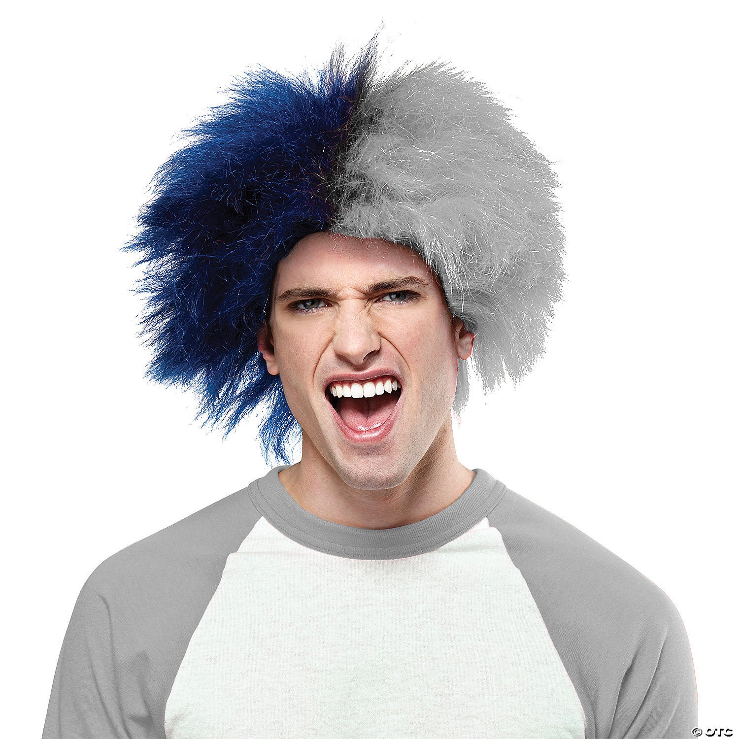 BLUE AND SILVER SPORTS WIG